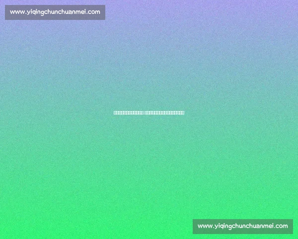 创意无限的套圈比赛挑战赛 趣味十足的团队合作与个人技巧较量